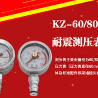 矿用支架耐震测压表