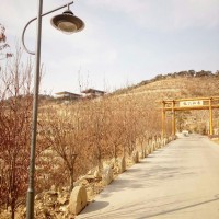 太阳能庭院灯