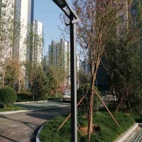 市电庭院灯
