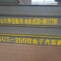电子汽车衡器