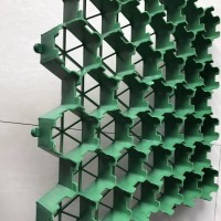 护坡绿化植草格