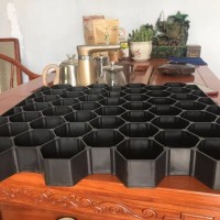 出口植草格
