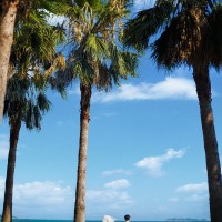 厦门旅拍