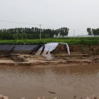 蜂巢约束系统