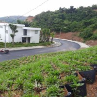 蜂巢约束系统护坡