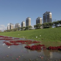 蜂巢约束系统护坡