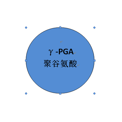 山东肽姿恋聚谷氨酸面膜