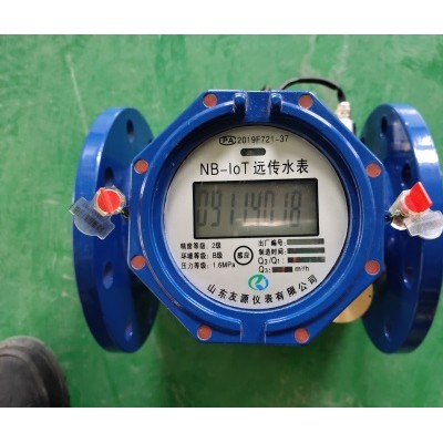 DN100NB压力传感器超声波表