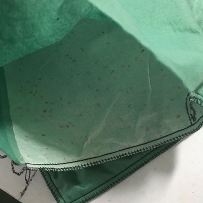 长丝草籽生态袋
