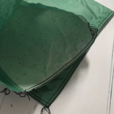 长丝草籽生态袋