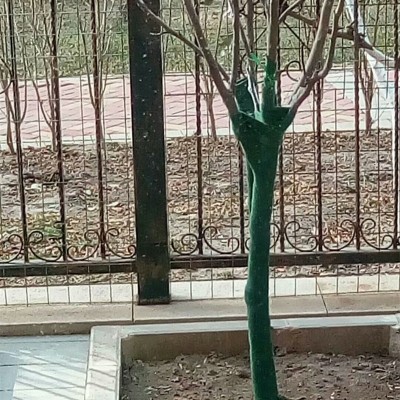 裹树布