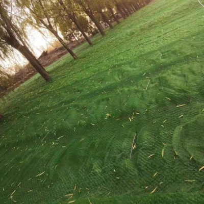 三维植被网