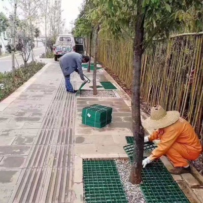 树篦子
