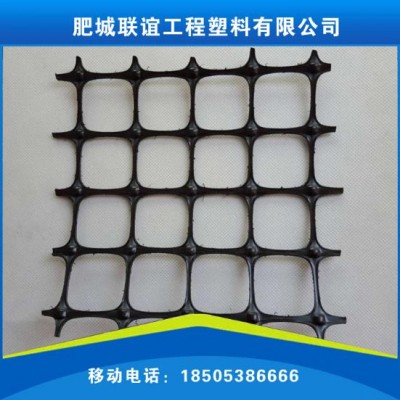 双向塑料拉伸土工格栅