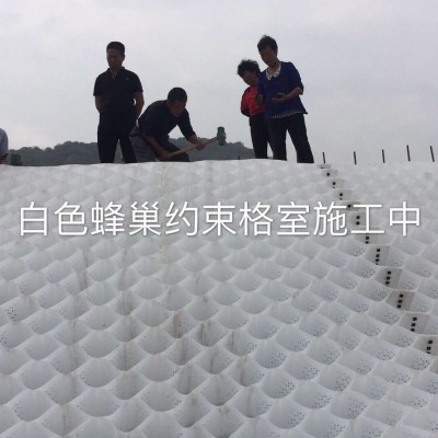 土工格室