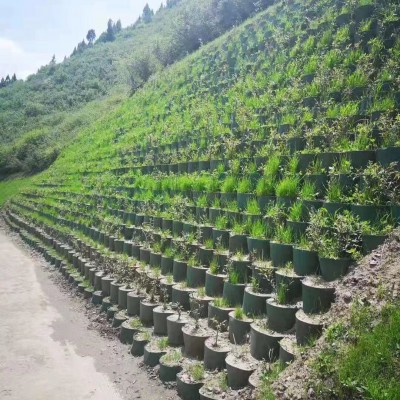 蜂巢约束系统护岸