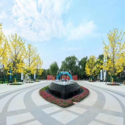 园林景观