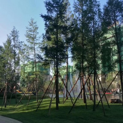 园林绿化