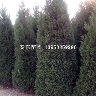 蜀快