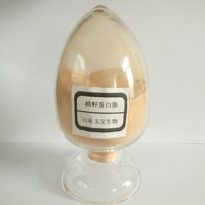 棉籽蛋白胨