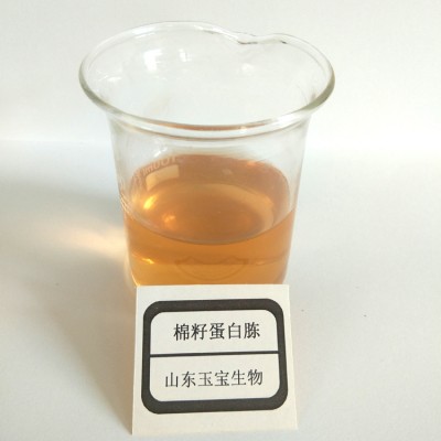 棉籽蛋白胨