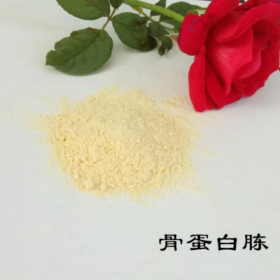 牛骨蛋白胨