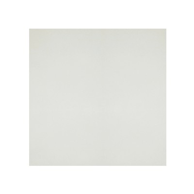 KJL-L-16101 冬日夏云10x10