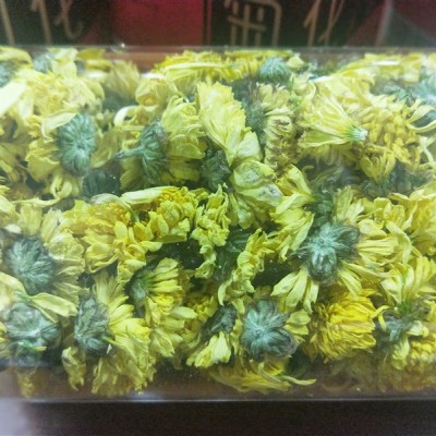 菊花茶批发