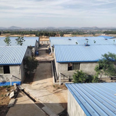 新泰养猪基地