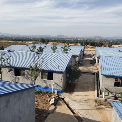 新泰养猪基地