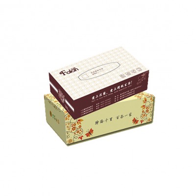 泰安抽纸盒