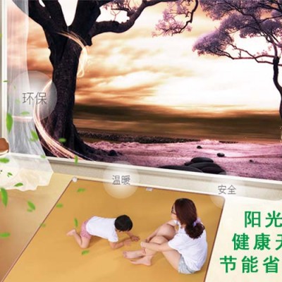 石墨烯电热炕