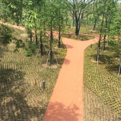 公园道路